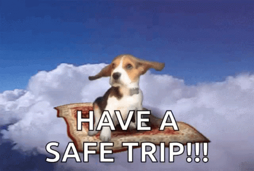 Dog Sitting on Flying Carpet Have a Safe Trip