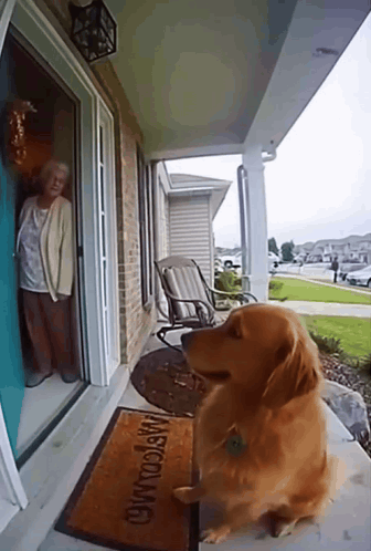 Dog Sitting On Porch With Welcome Mat GIF