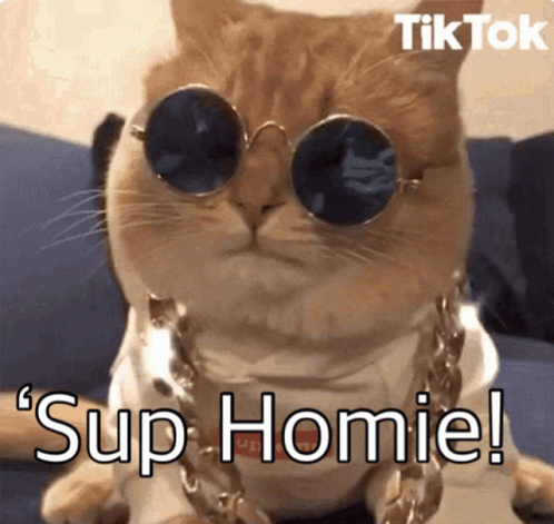 Dog Sitting On Porch With Welcome Mat GIF