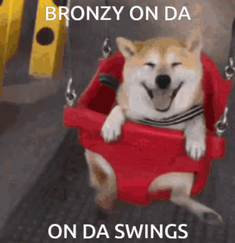 Dog Sitting on Red Swing Bronzy on da Swings