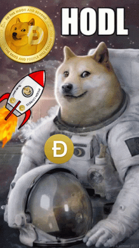 Dog Sitting On Rocket With Earth Sticker GIF