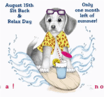 Dog Sitting On Surfboard August 15Th Sit Back And Relax Day GIF