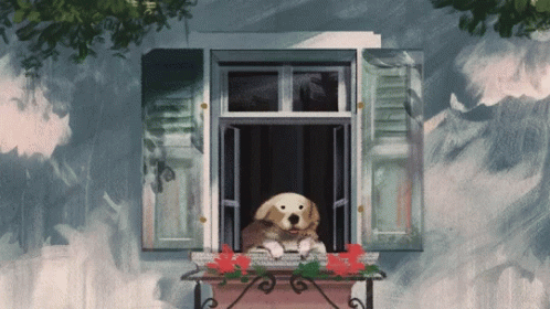 Dog Sitting on Window Sill With Flowers