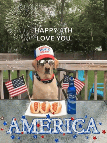 Dog Sitting with Hot Dogs and Bud Light