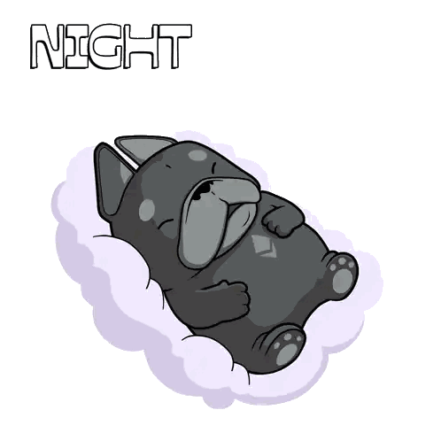Dog Sleeping Night Night
