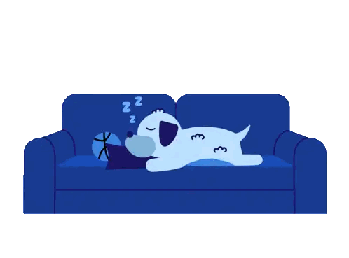 Dog Sleeping On Couch Good Night