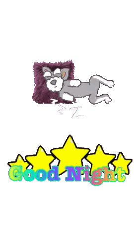 Dog Sleeping on Pillow Good Night