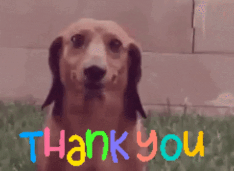 Dog Smiling Animated Thank You GIF