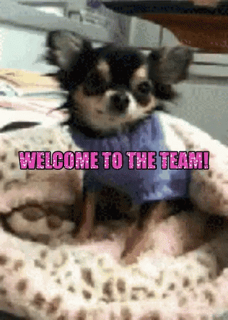 Dog Smiling Welcome To The Team Meme GIF