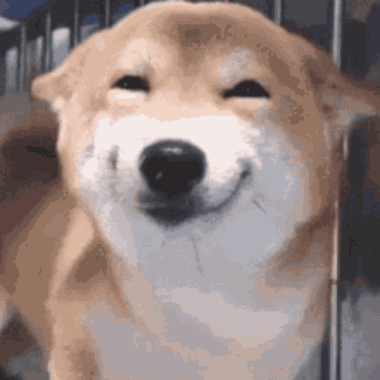 Dog Smiling with Eyes Closed