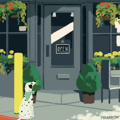 Dog Snatched At Cafe GIF