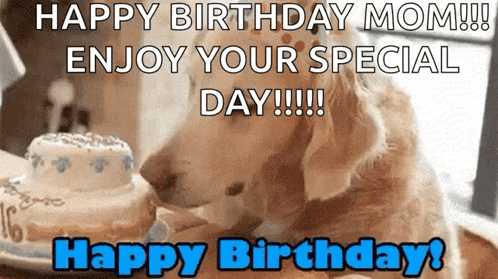 Dog Sniffing Birthday Cake Happy Birthday Mom