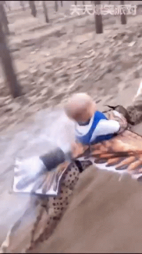 Dog Sprint With Baby Toy Doll On Top GIF