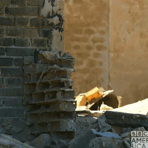 Dog Spy In The Corner GIF