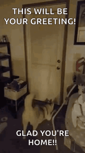Dog Standing by Door Saying Welcome