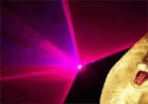 Dog Standing in Front of Pink and Purple Lights