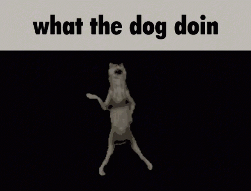 Dog Standing on Hind Legs What Doin