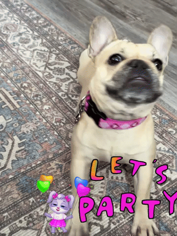 Dog Standing on Rug Saying Lets Party