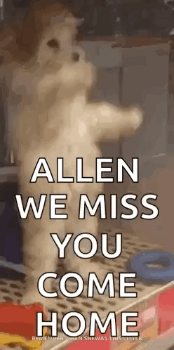 Dog Standing With Allen We Miss You GIF
