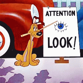 Dog Stick Pay Attention Look GIF