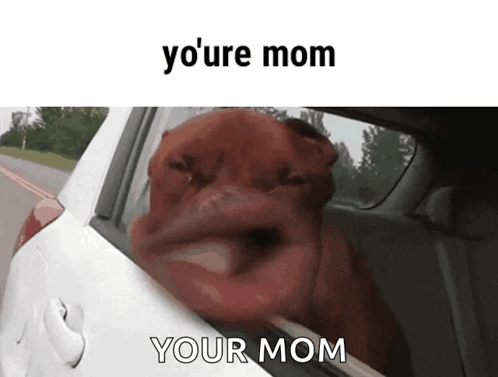 Dog Sticking Head Out Car Window Saying Yo Mom Your Mom