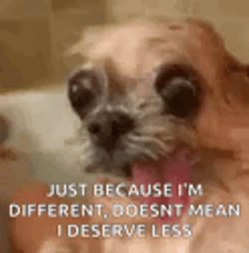 Dog Sticking Tongue Out in Bathtub With Quote
