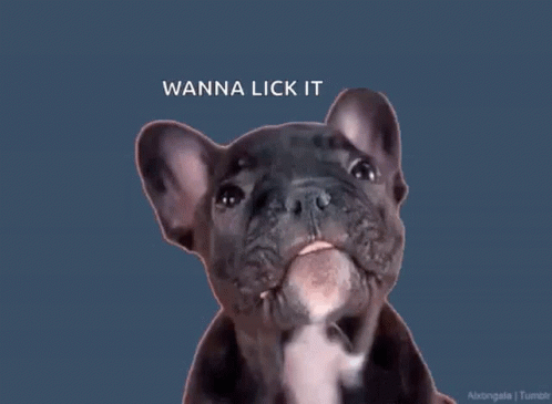 Dog Sticking Tongue Out Saying Wanna Lick It