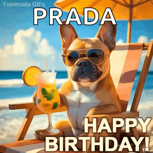Dog Sunglasses Drink Wishing Prada Happy Birthday