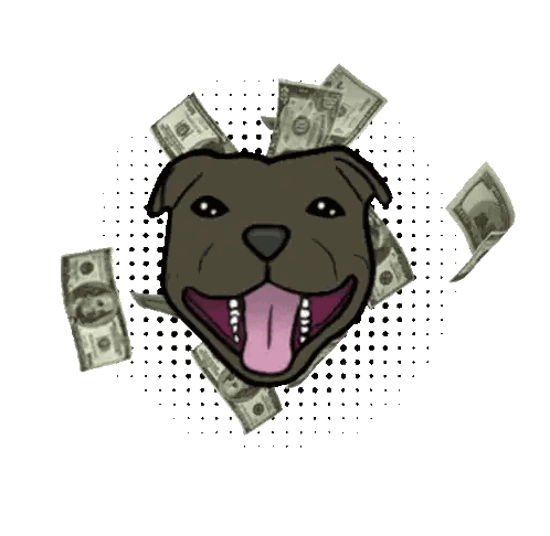 Dog Surrounded by Money Don