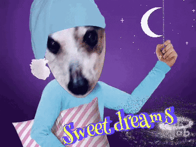 Dog Sweet Dreams
