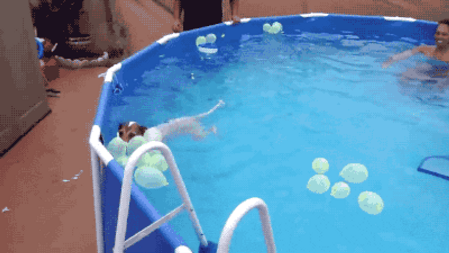 Dog Swimming With Balloon GIF