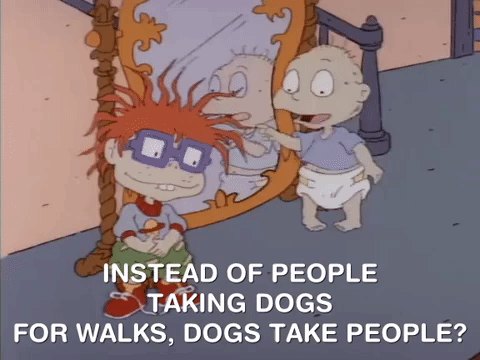 Dog Take People For Walking GIF