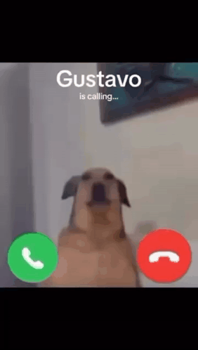 Dog Talking On Phone Gustavo GIF