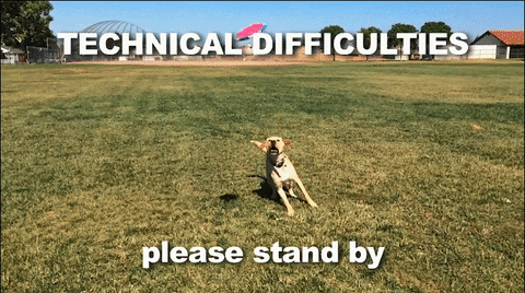 Dog Technical Difficulties GIF