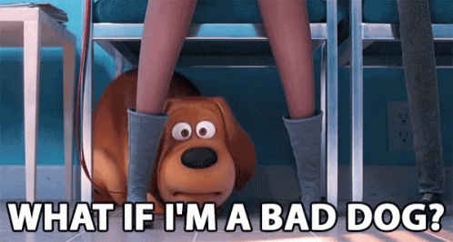 Dog Thinking What If I'm A Bad Dog GIF