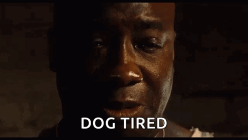 Dog Tired Man Close Up