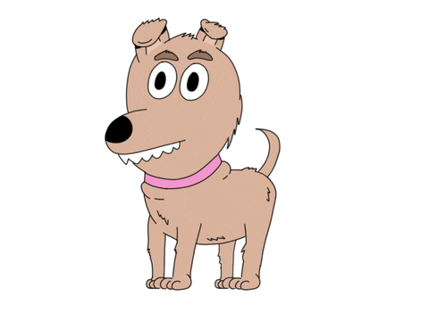 Dog Turning Around To Poop GIF