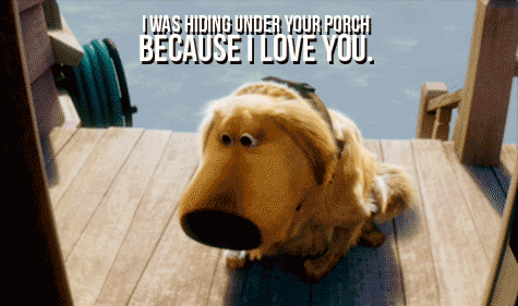 Dog Up Dug Because I Love You GIF