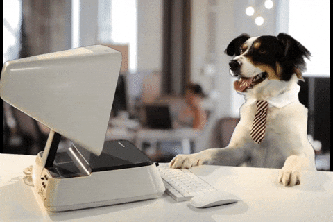 Dog Using Computer Monday Work Meme GIF