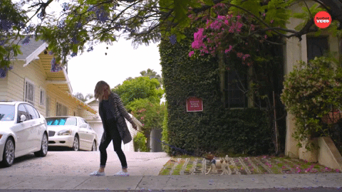 Dog Walking Next To The Girl GIF