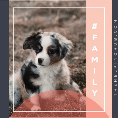 Dog Walking Pose GIF