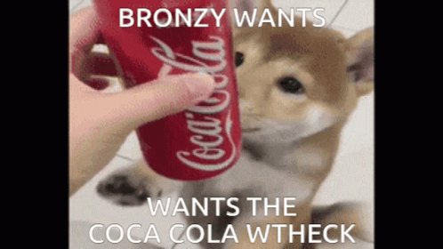Dog Wants Coca Cola GIF