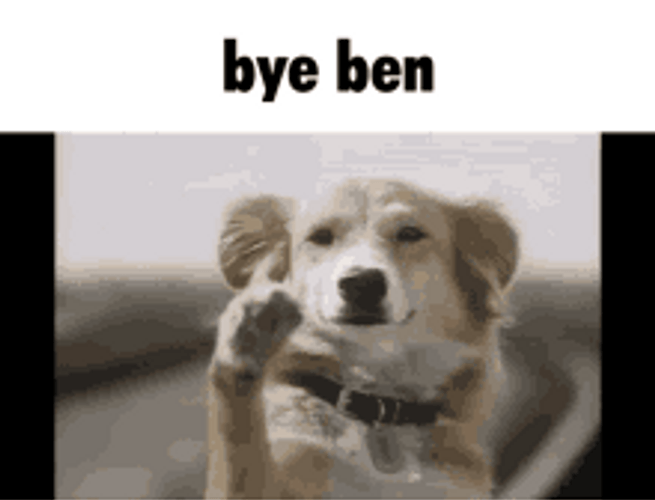 Dog Waving Goodbye Bye Ben GIF