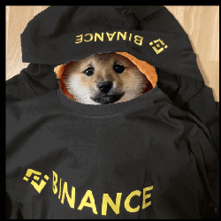 Dog Wearing Black Binance Sweatshirt