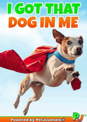 Dog Wearing Cape I Got That Dog In Me