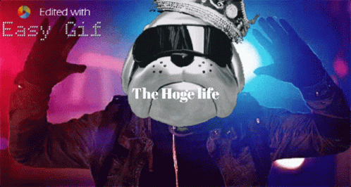 Dog Wearing Crown and Sunglasses The Hoge Life