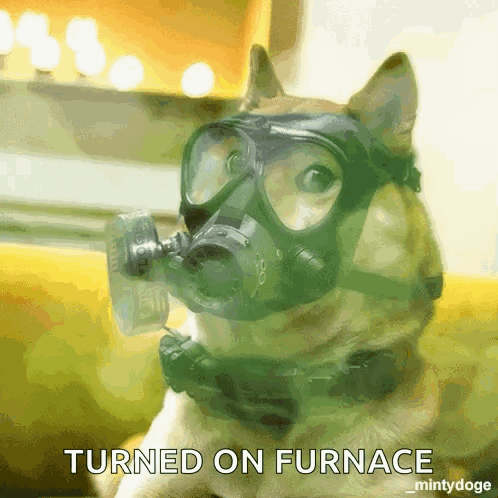 Dog Wearing Gas Mask Turned On Furnace GIF