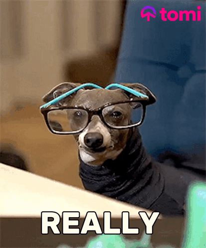 Dog Wearing Glasses and Turtleneck