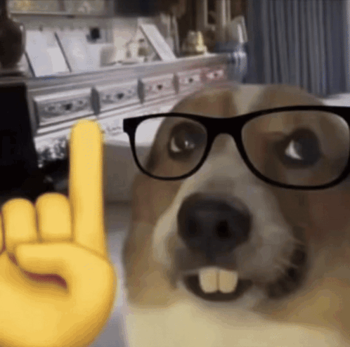 Dog Wearing Glasses Giving Rock Sign