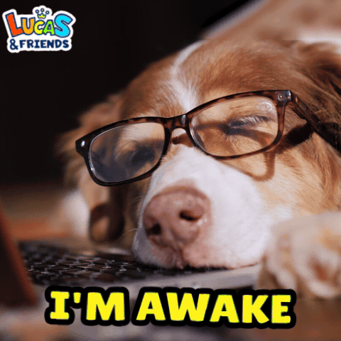 Dog Wearing Glasses Lying on Laptop